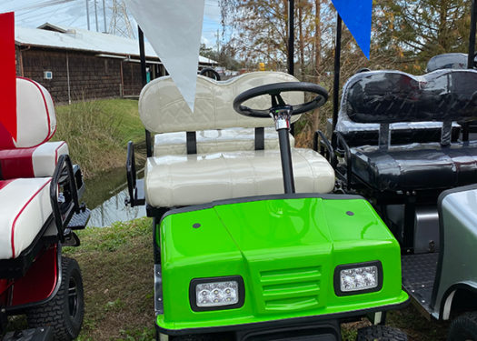 sonic-green-cricket-mini-cart-sx3