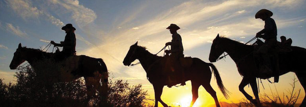 arizona-cricket-mini-golf-carts-equestrian-arenas-camping-horses